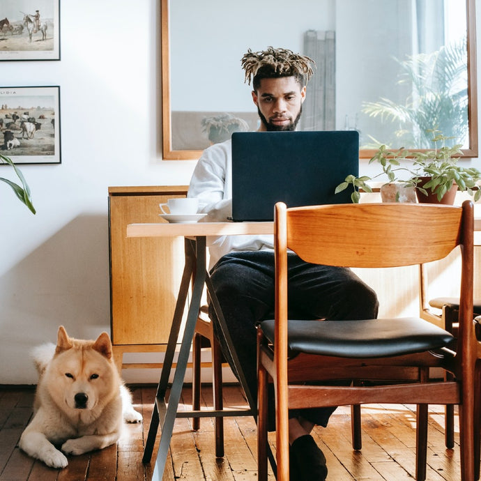 5 Dog Lovers Jobs for Self-Starters and Side Hustlers