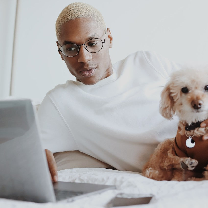 7 Serious Dog Gadgets and High Tech Dog Toys Over $100 – Pooch & Poodle