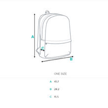 Load image into Gallery viewer, metric size chart for pooch and poodle backpack
